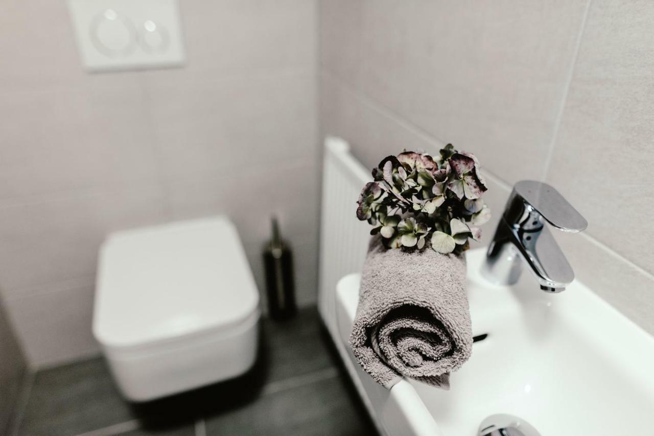 ברנו Luxury Apartments Zelny Trh מראה חיצוני תמונה