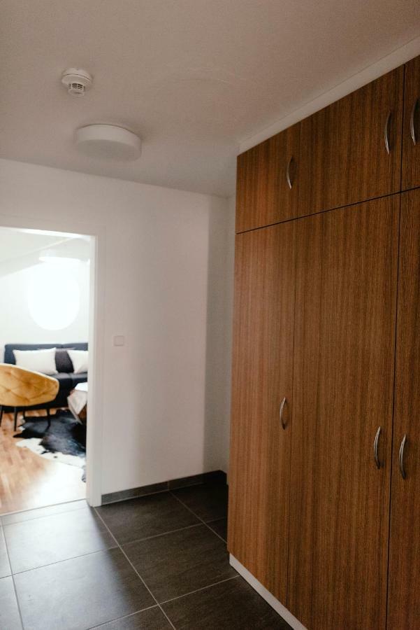 ברנו Luxury Apartments Zelny Trh מראה חיצוני תמונה