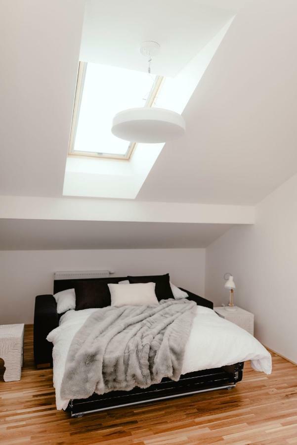 ברנו Luxury Apartments Zelny Trh מראה חיצוני תמונה